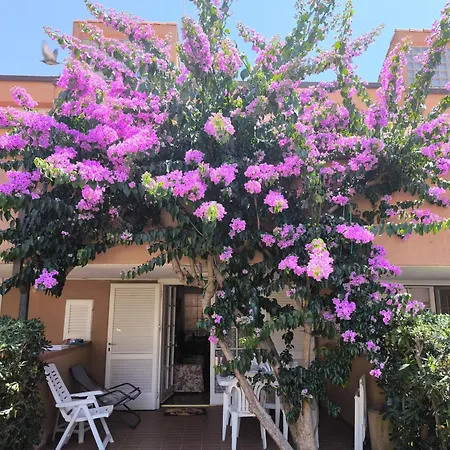 Casa vacanze Indipendente Castiglione Castiglione della Pescaia